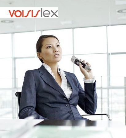 VoisisLex